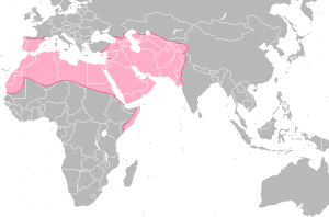 Umayyad-Empire, 750 AD